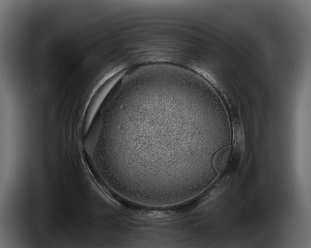 X0000085790390200703231312