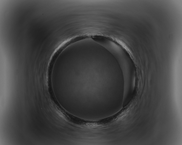 X0000085790391200703231312