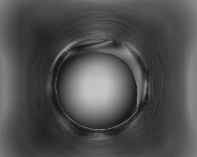 X0000085790392200703231312