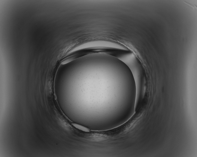X0000085790393200703231312