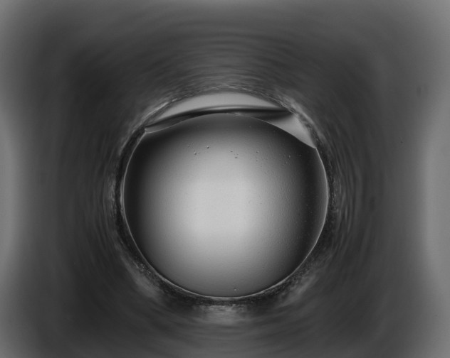X0000085790394200703231312