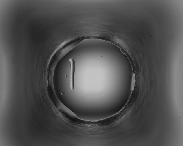 X0000085790395200703231312