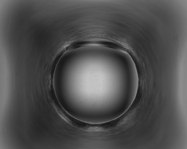 X0000085790397200703231312