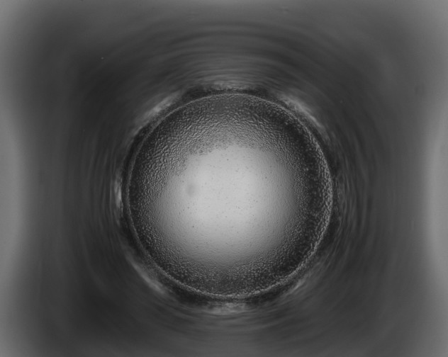 X0000085790398200703231312