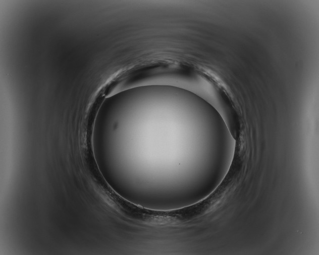 X0000085790399200703231312