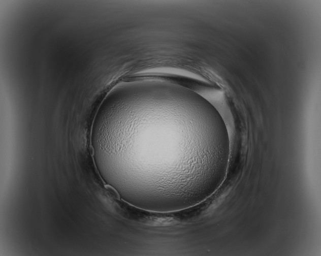 X0000085790401200703231312