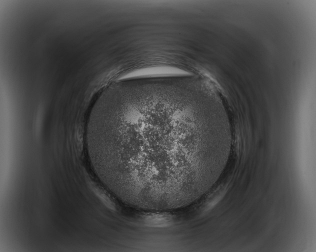 X0000085790402200703231312