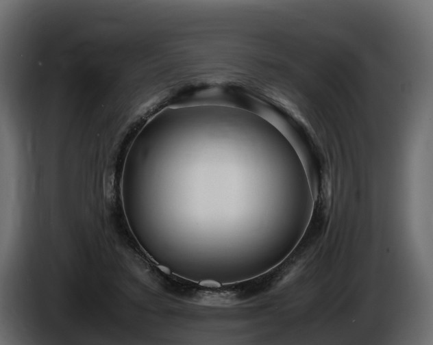 X0000085790403200703231312