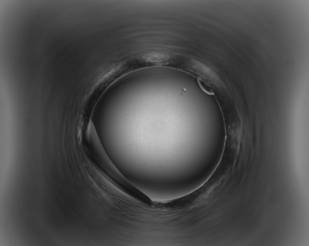 X0000085790404200703231312