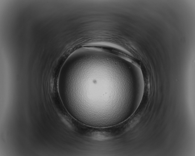 X0000085790408200703231312
