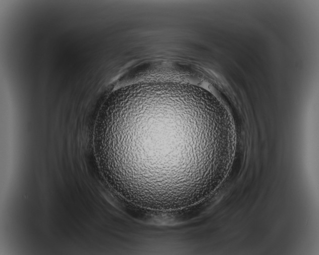 X0000085790409200703231312