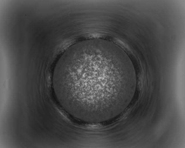X0000085790410200703231312