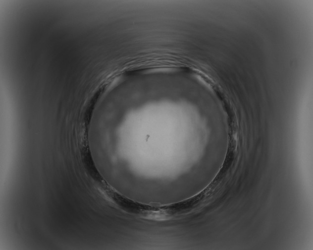 X0000085790411200703231312
