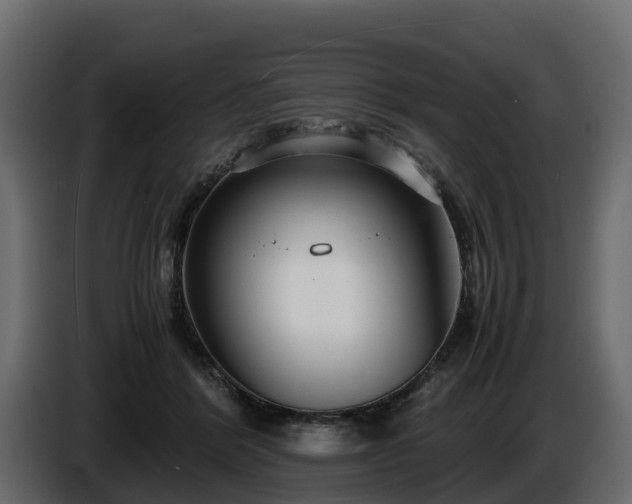 X0000085790412200703231312