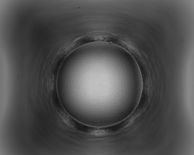 X0000085790413200703231312