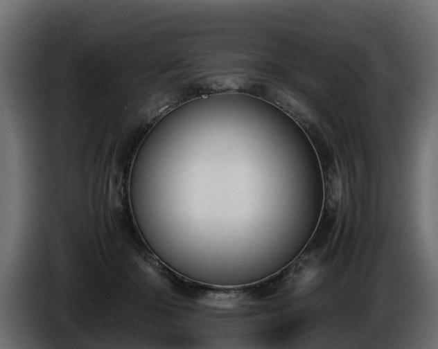X0000085790414200703231312