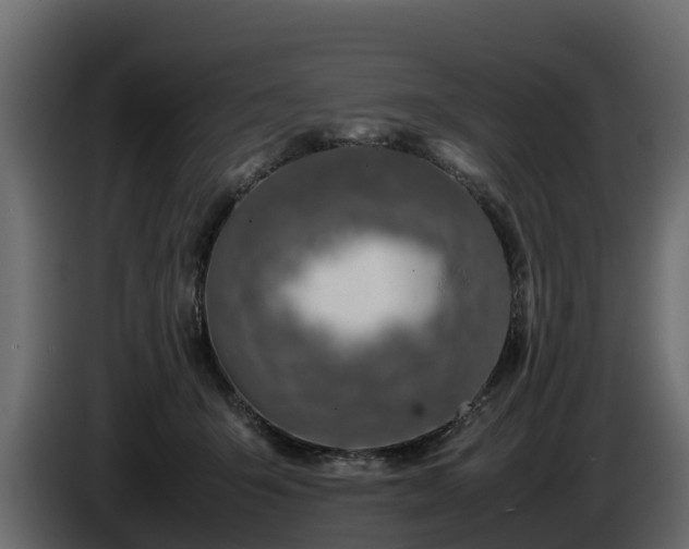 X0000085790415200703231312