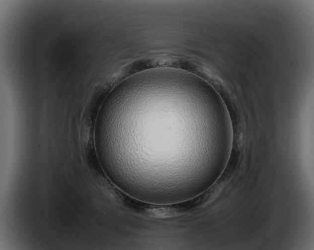 X0000085790417200703231312