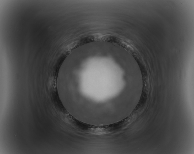 X0000085790419200703231312