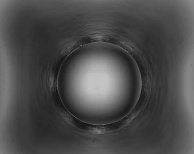 X0000085790420200703231312