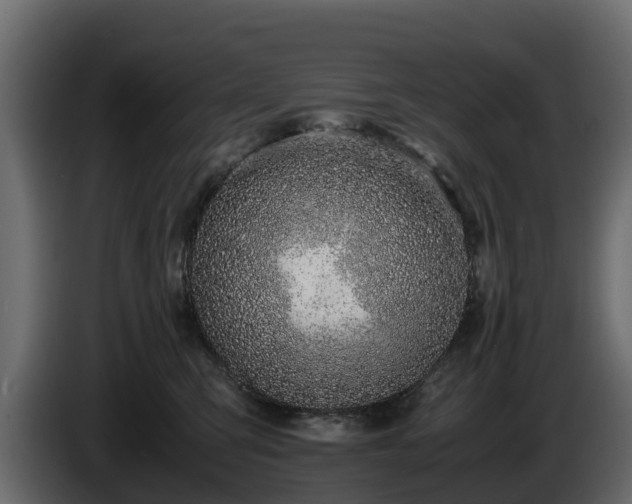 X0000085790423200703231312