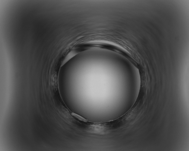 X0000085790425200703231312