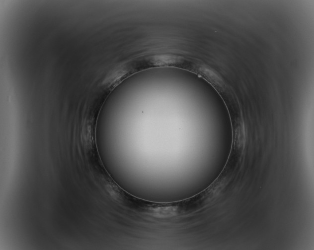 X0000085790426200703231312
