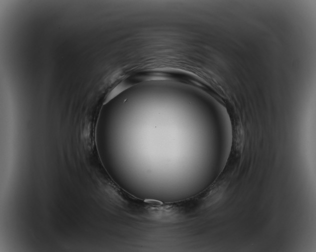 X0000085790428200703231312
