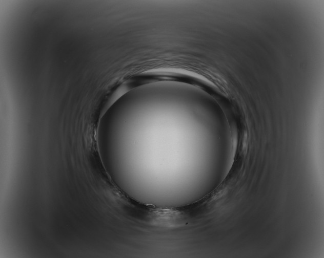 X0000085790429200703231312