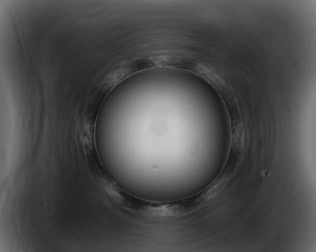 X0000085790430200703231312