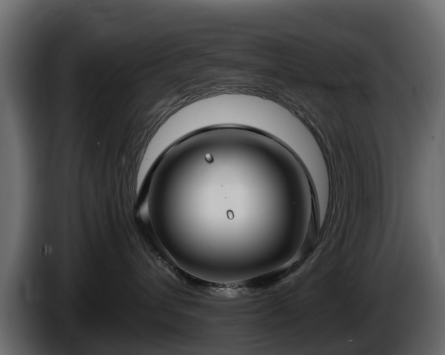 X0000085790432200703231312
