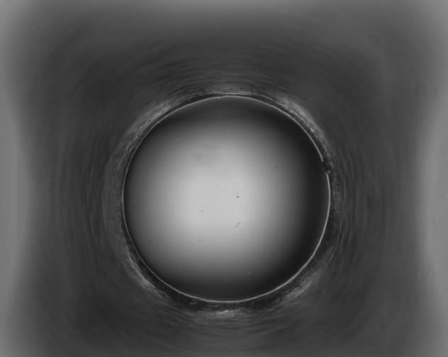 X0000085790433200703231311