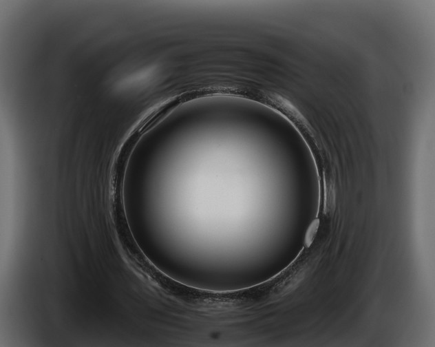 X0000085790435200703231311