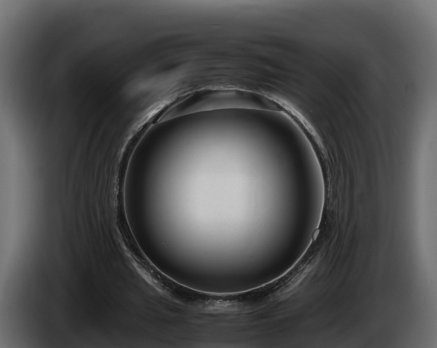 X0000085790437200703231311