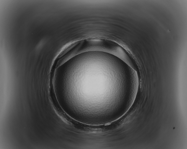 X0000085790438200703231311