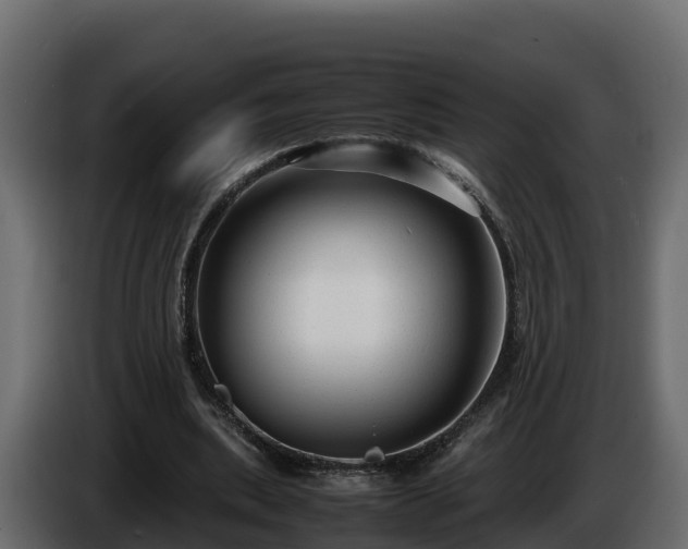 X0000085790439200703231311