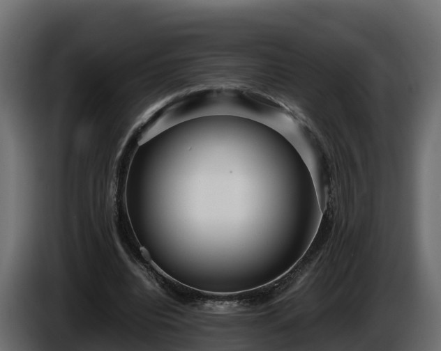 X0000085790440200703231311