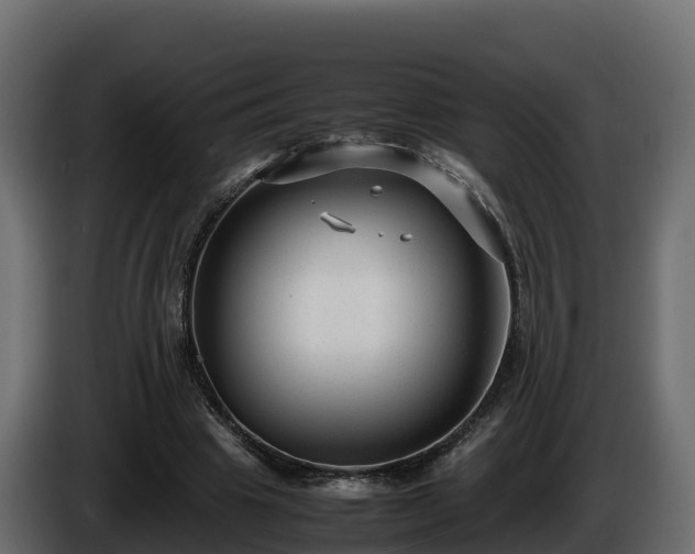 X0000085790441200703231311