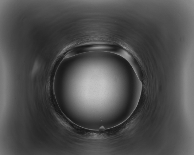 X0000085790442200703231311