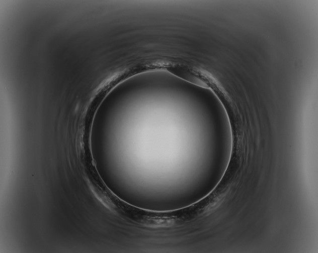 X0000085790443200703231311