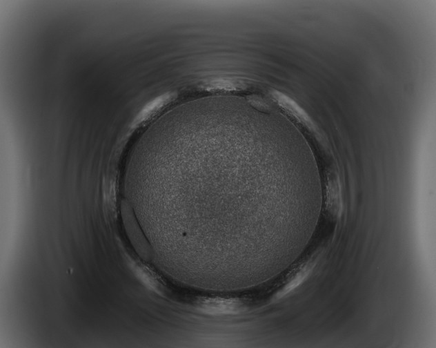 X0000085790444200703231311