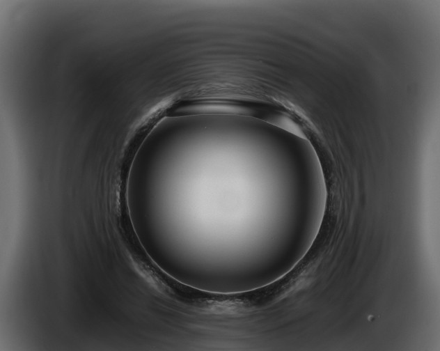 X0000085790446200703231311