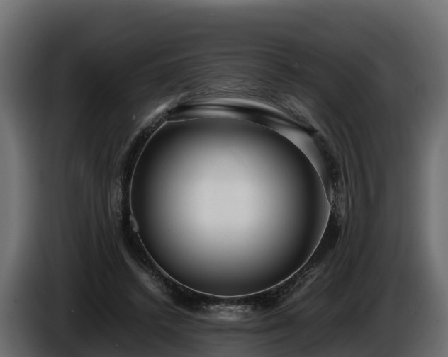 X0000085790448200703231311