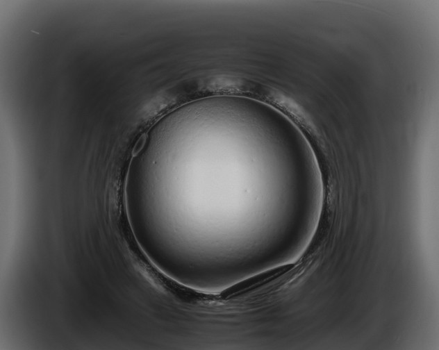 X0000085790449200703231311