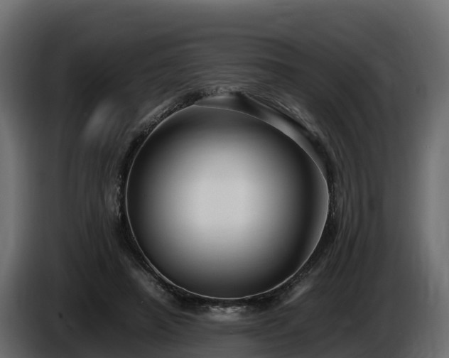 X0000085790450200703231311