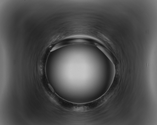 X0000085790452200703231311