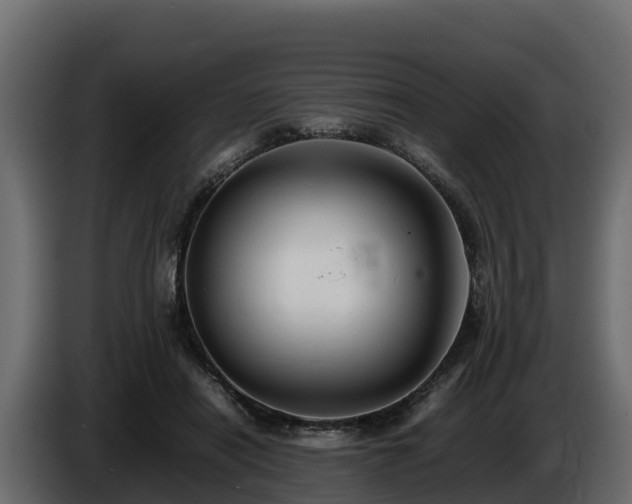 X0000085790454200703231311