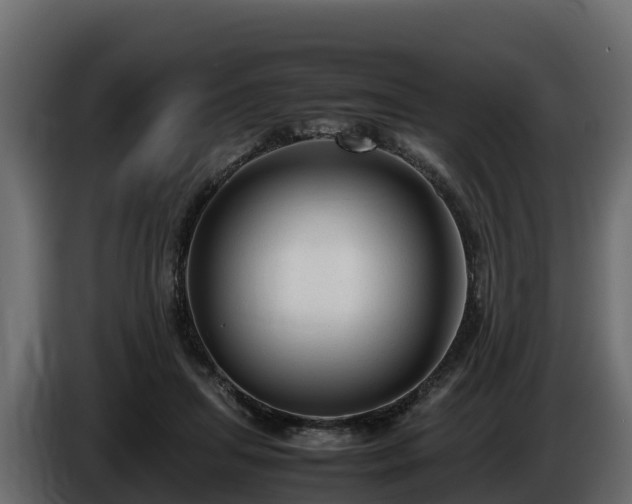 X0000085790455200703231311
