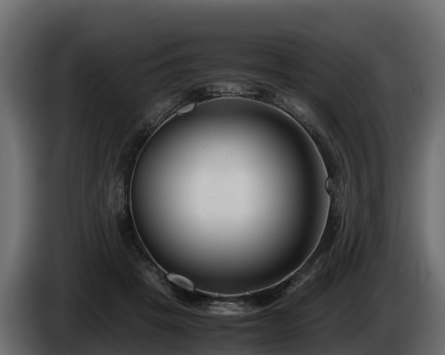 X0000085790457200703231311