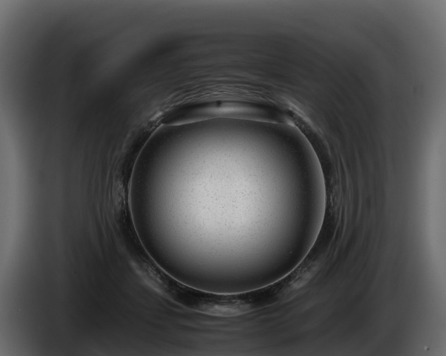 X0000085790459200703231311
